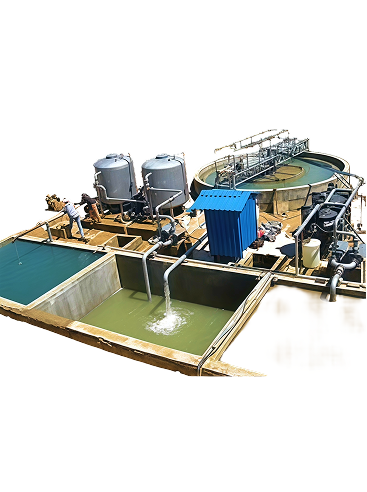 Sewage Treatment Plants
